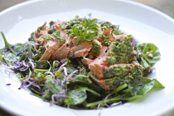 Salmon Arugula